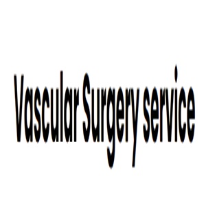 Avatar: Vascular Surgery Services