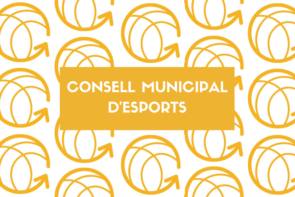 Consell Municipal d&#39;Esports