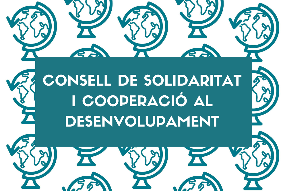 Consell de Solidaritat i Cooperació al Desenvolupament