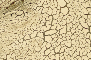 Imatge pels mitjans: CONTENIDOR DE PAU