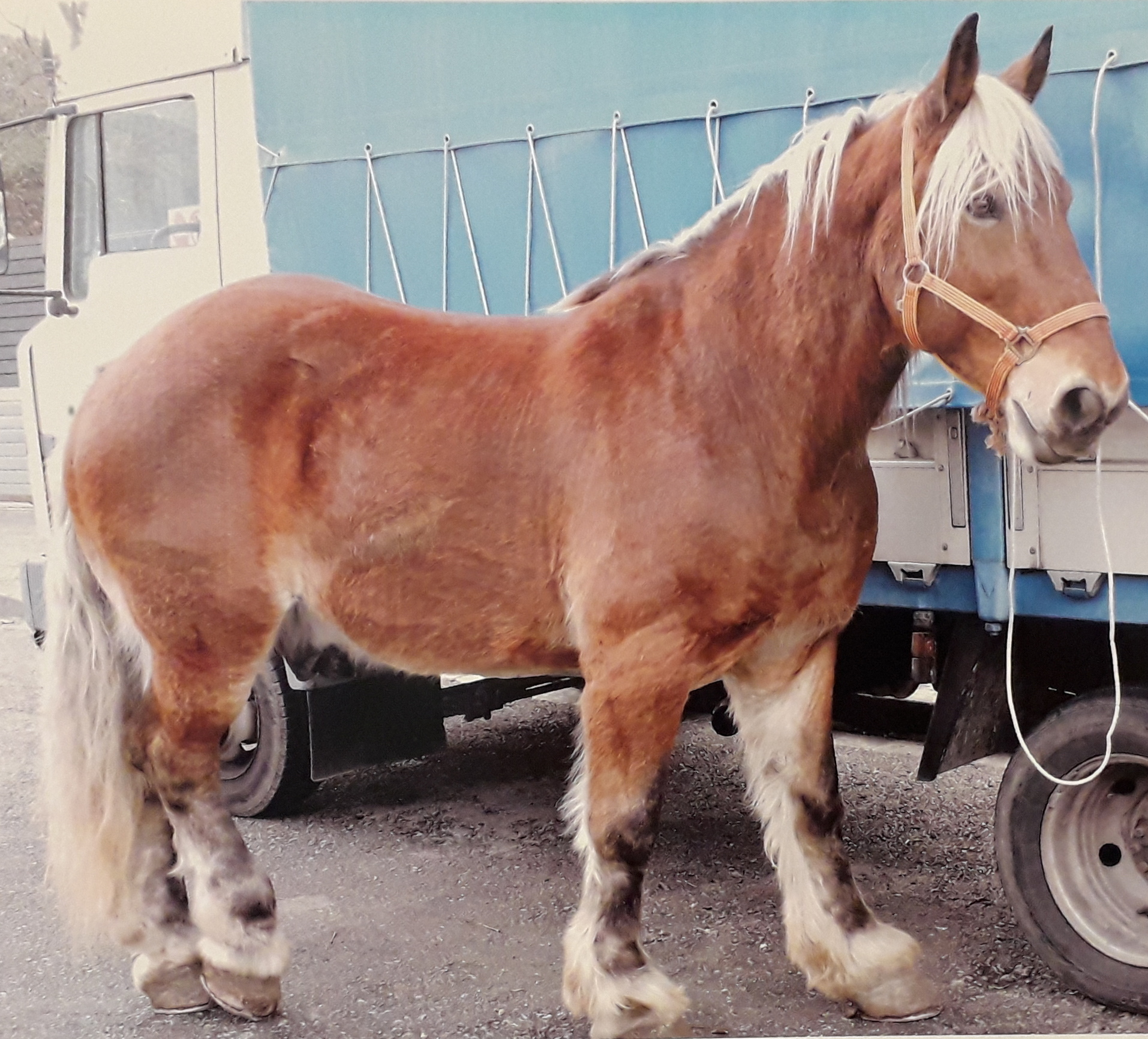 Imatge pels mitjans: CollaTresTombsEsplugues