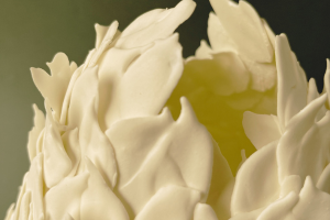 Imatge pels mitjans: SILENT SPRING III