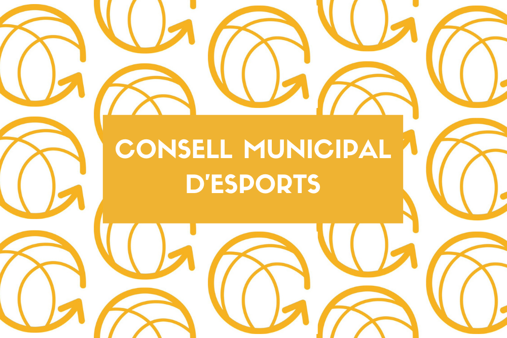 Imatge pels mitjans: Consell Municipal d&#39;Esports