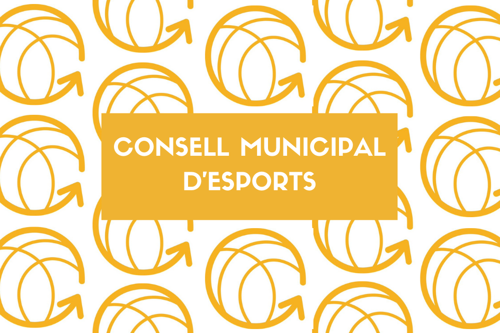 Imagen para los medios: Consejo municipal de Deportes