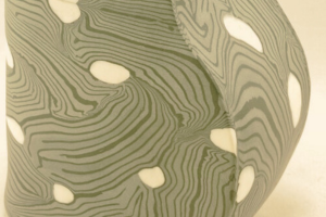 Imatge pels mitjans: CURVATURES  Autum