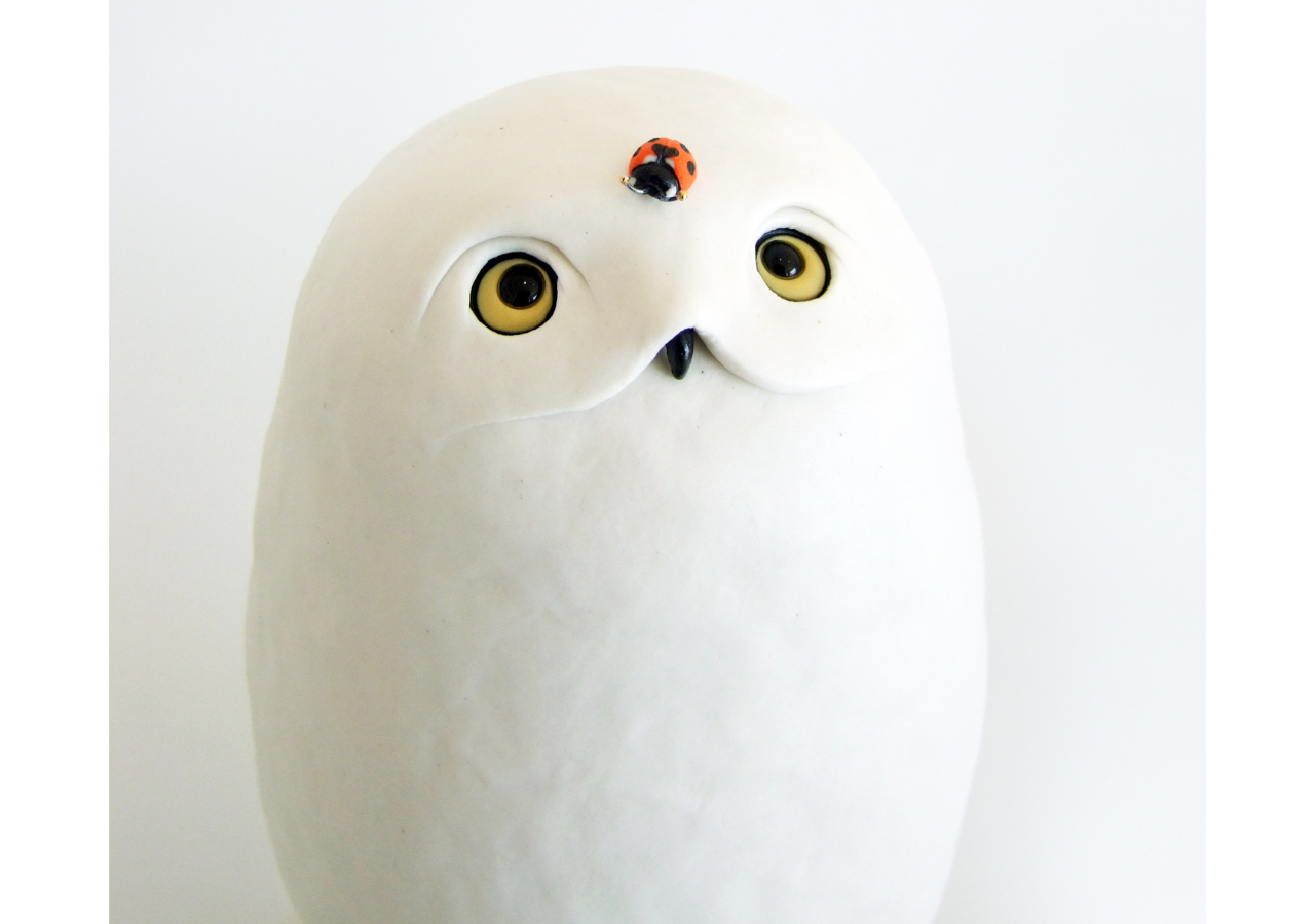 Friend in the forest I