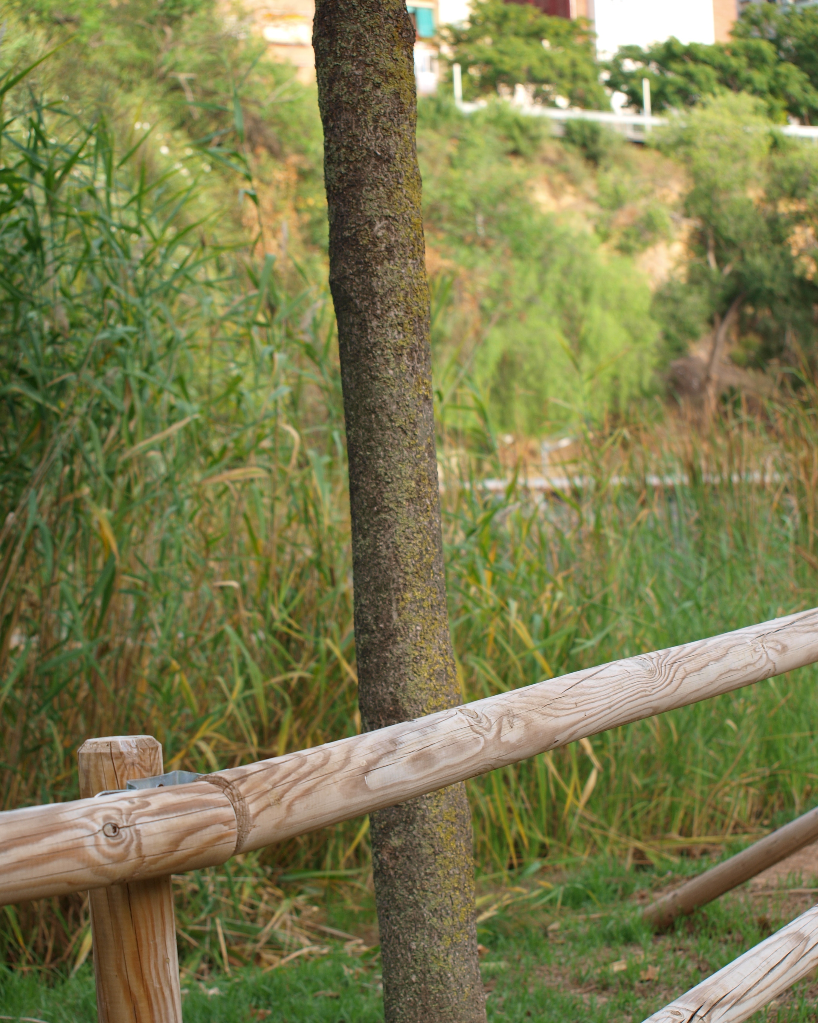 Imatge pels mitjans: Parc dels Torrents