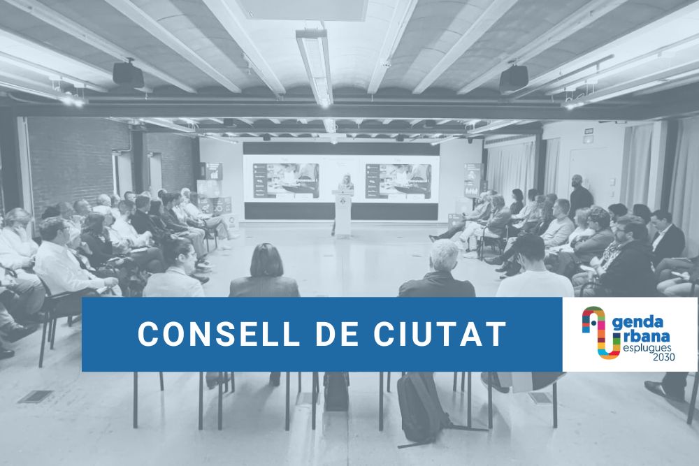 Imatge pels mitjans: Consell de Ciutat