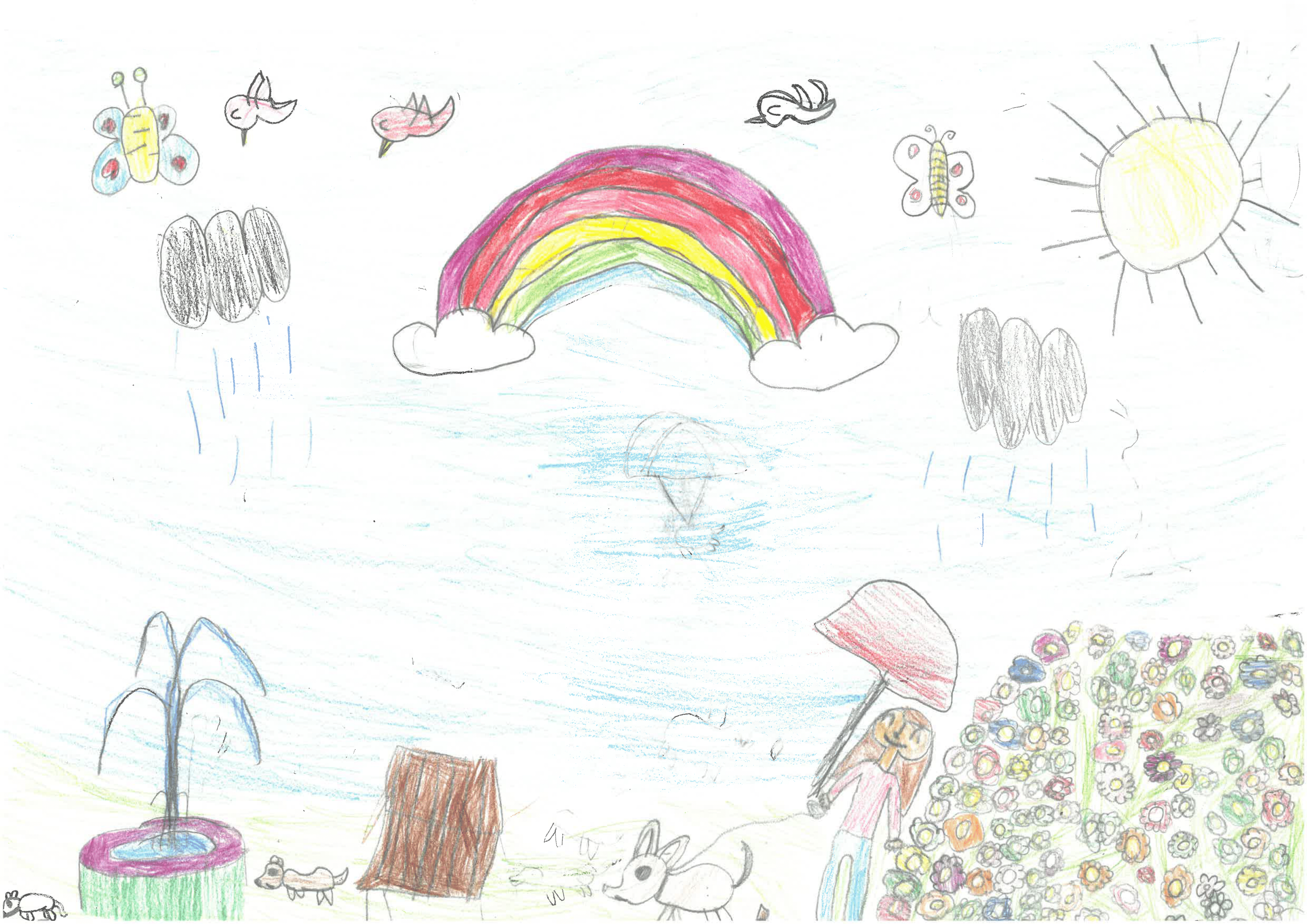 Imatge pels mitjans: Escola Isidre Martí 6