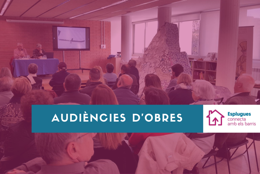 Imatge pels mitjans: Audiències d'obres