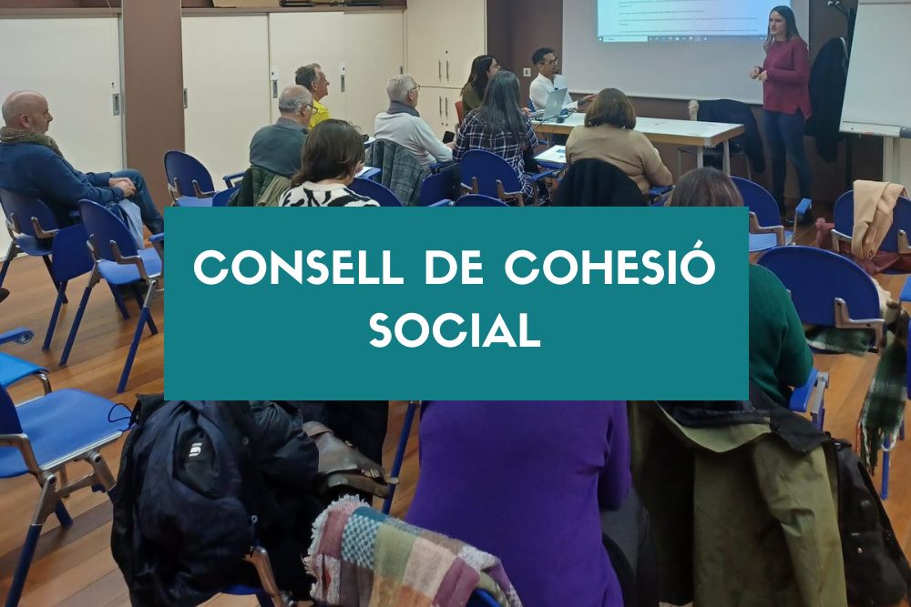 Imatge pels mitjans: Consell per a la Cohesió Social