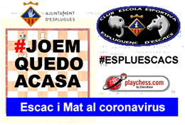 Imagen para los medios: Torneig d&#39;escacs on-line