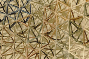 Imagen para los medios: ELEMENTS       