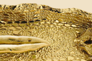 Imatge pels mitjans: OUR GOD IS GREAT gid://decidim-diba/Decidim::Hashtag/512/21