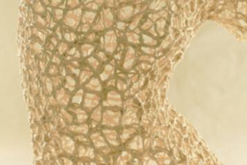 Ànima de maniquí 300x200.png