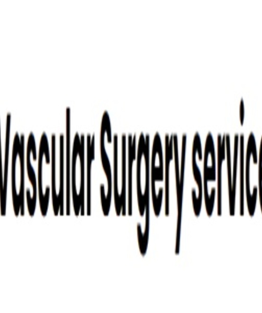 avatar Vascular Surgery Services